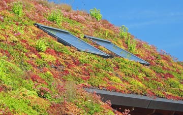 Crowle Hill living roof systems